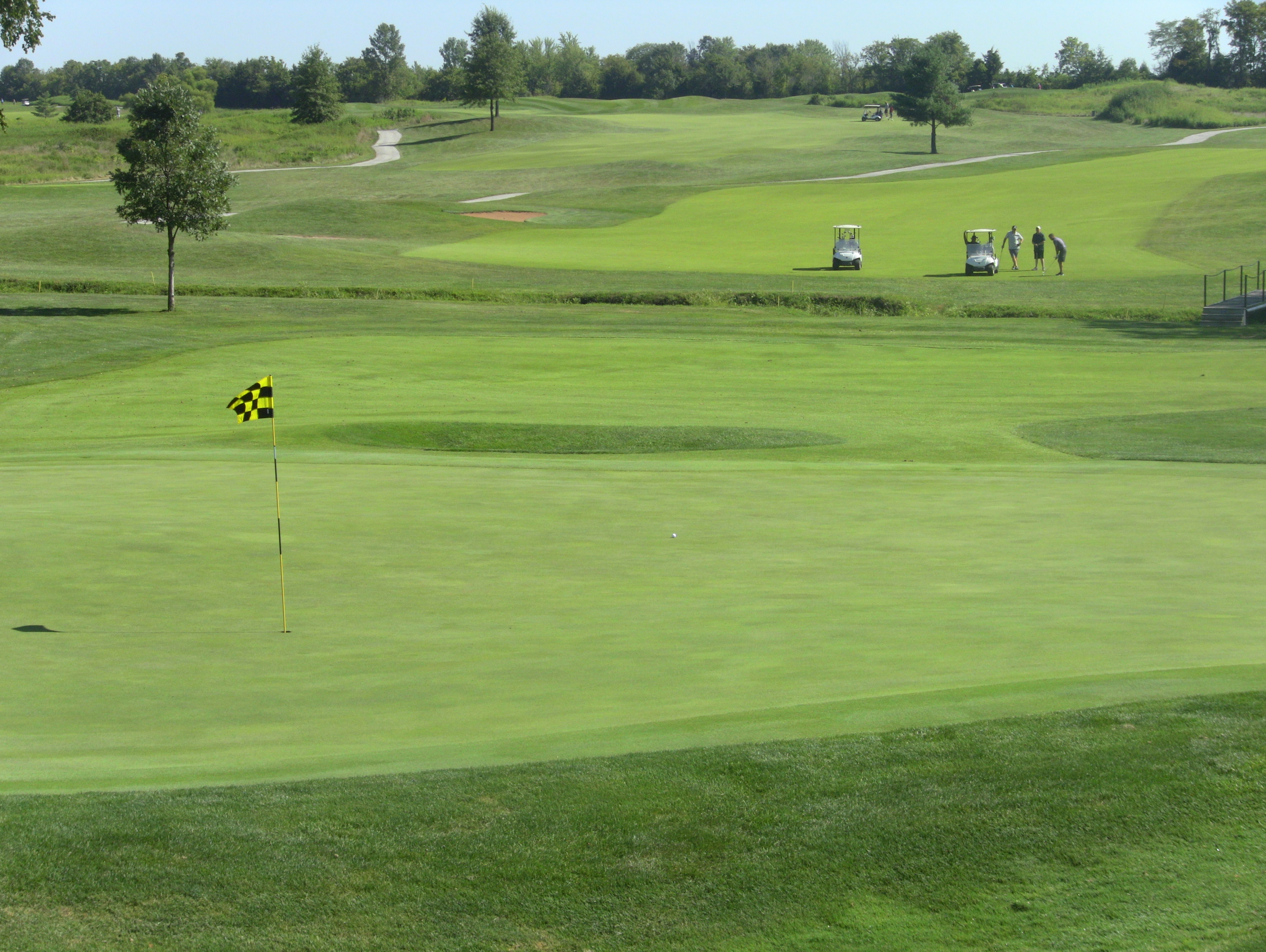 Golf Course Green with trees