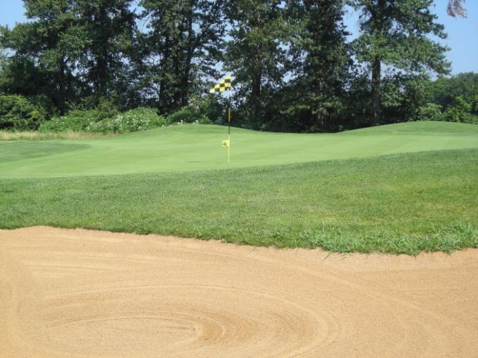 Tanglewood Bunker View